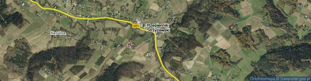 Zdjęcie satelitarne Rzepiennik Strzyżewski ul.